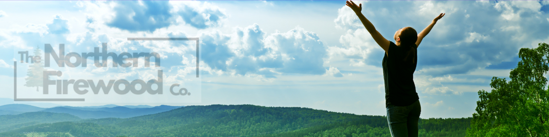 2025 Update: Progress in Reducing Particulates from Wood Burning Stoves