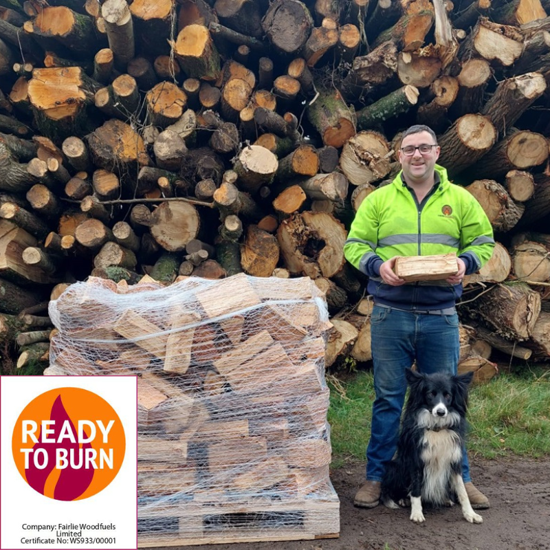 Ready to Burn Kiln Dried Softwood (Larch) Half-Size Pack