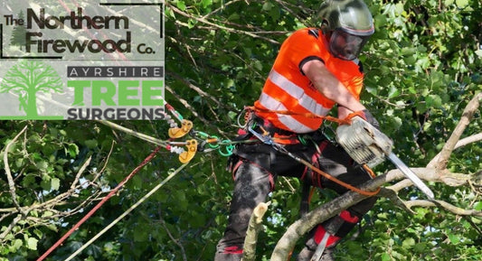 Why Our Ready to Burn Kiln Dried Stovewood Giant Pack Is Our Best Seller – And Why You Should Try It