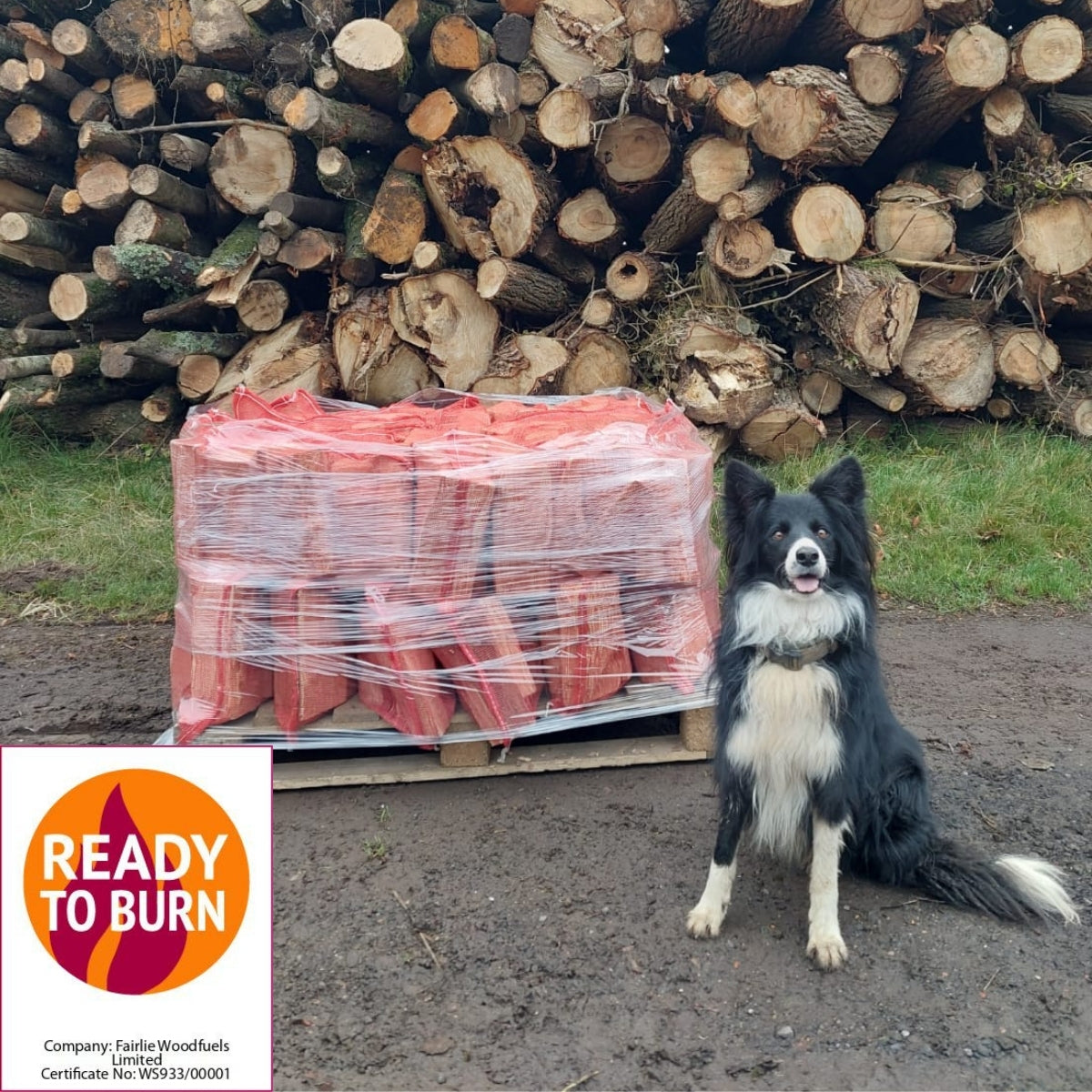 Ready to Burn Softwood (Larch) 24 Nets